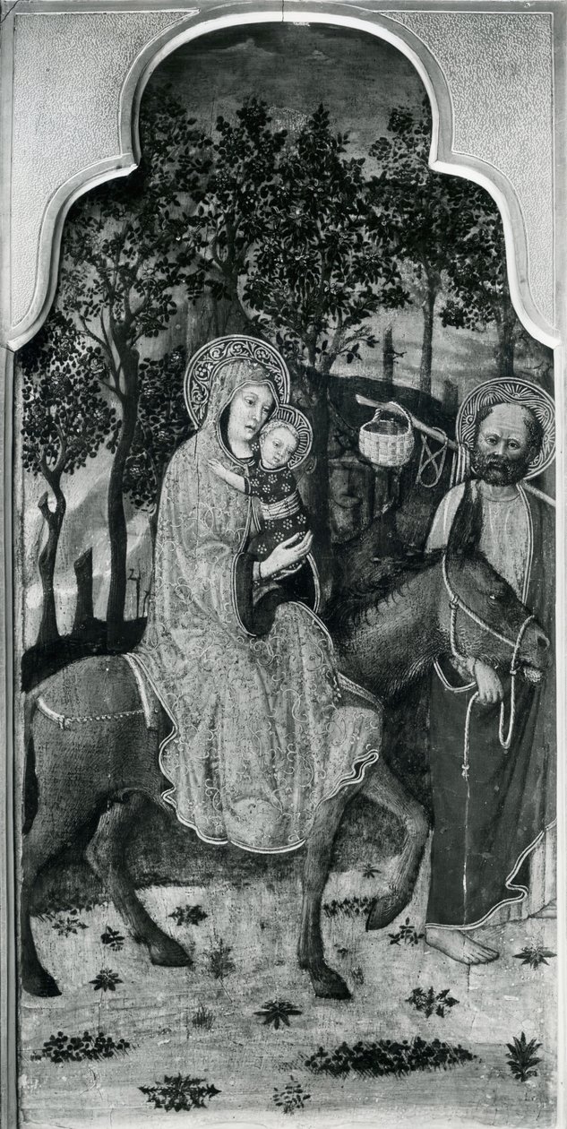 Cyclus van het Leven van de Maagd, Vlucht naar Egypte door Giovanni Francesco da Rimini