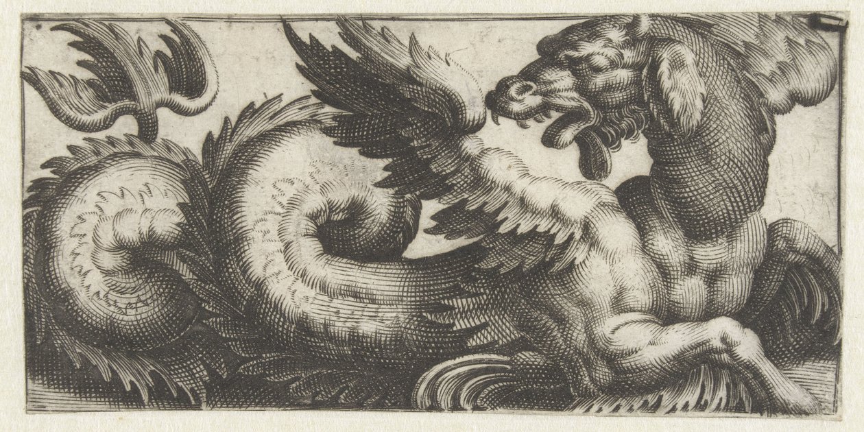 Gevleugelde zeehond die achterom kijkt door Giovanni Andrea Maglioli