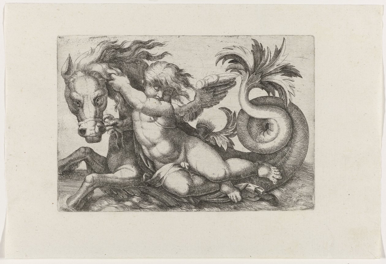 Putto rijdend op zeepaard door Giovanni Andrea Maglioli