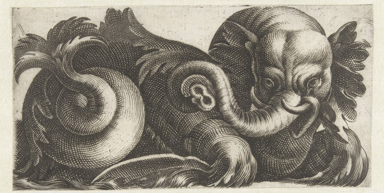 Zee-olifant met oren van bladeren door Giovanni Andrea Maglioli