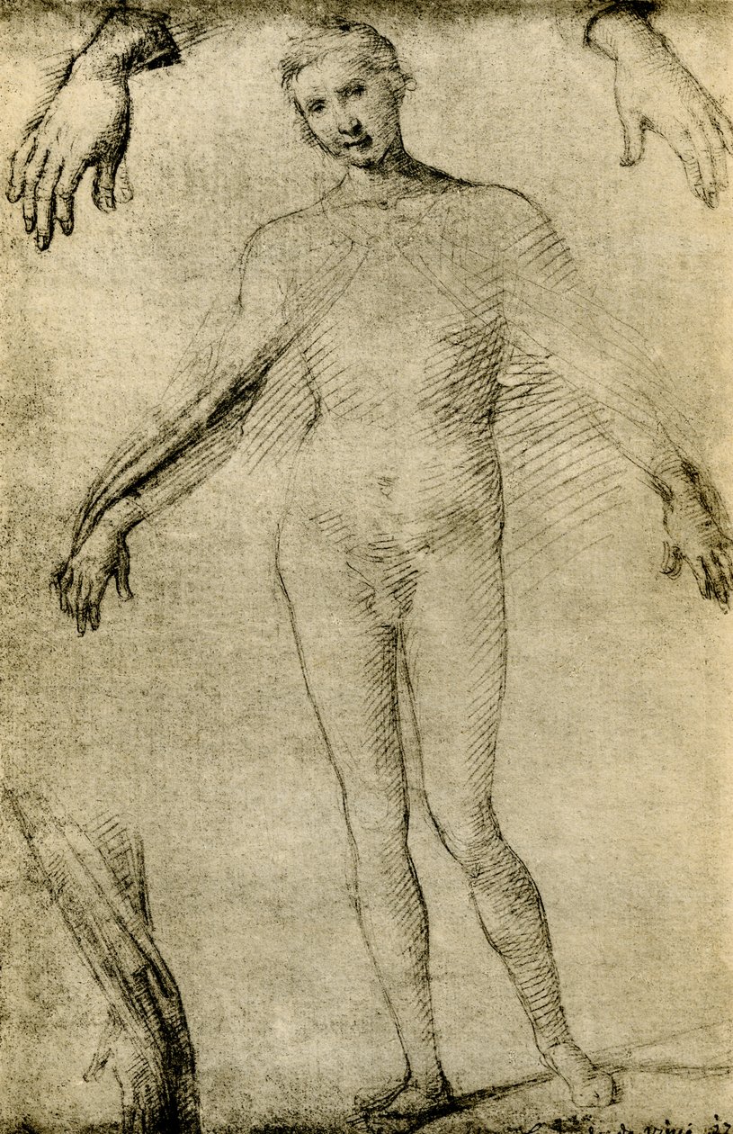 Modelstudie voor een Maagd Maria als mater misericordiae door Giovanni Antonio Bazzi Sodoma