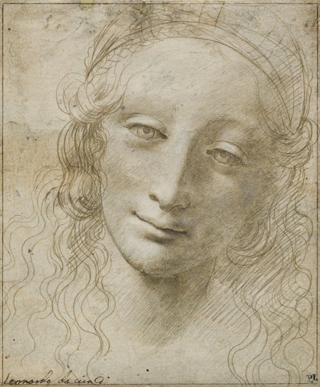 Hoofd van een vrouw door Giovanni Antonio Boltraffio