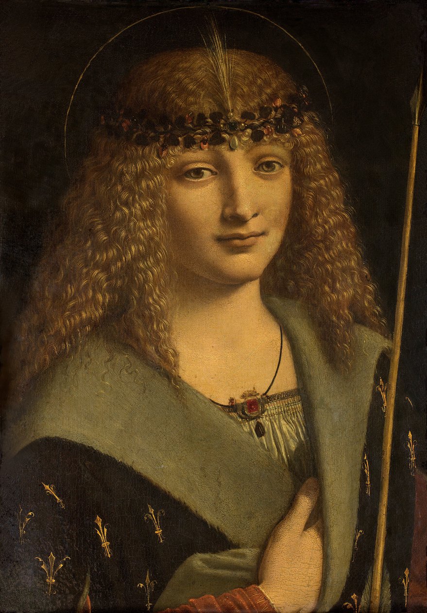 Portret van een jongen als heilige Sebastiaan

"

" door Giovanni Antonio Boltraffio