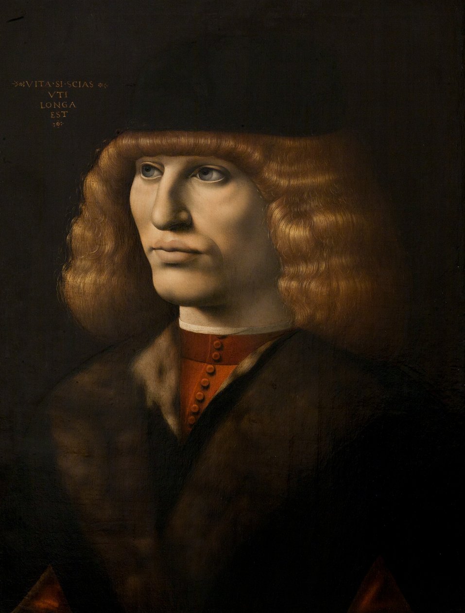 Portret van een jonge man, ca. 1500 door Giovanni Antonio Boltraffio