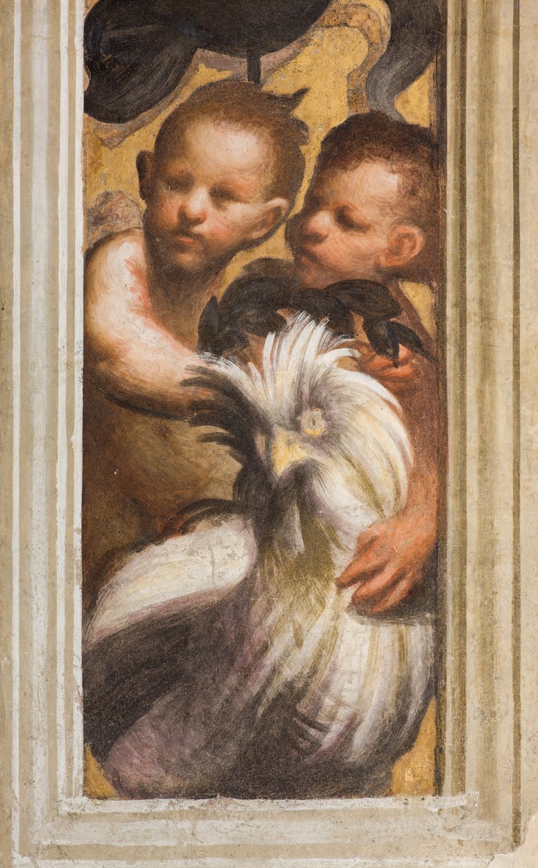 Centrale Ave, Lesena Bovenste Deel Boven Kapiteel Eerste en Tweede Span Zuid, IL Pordenone, Puttini, (detail) door Giovanni Antonio Pordenone