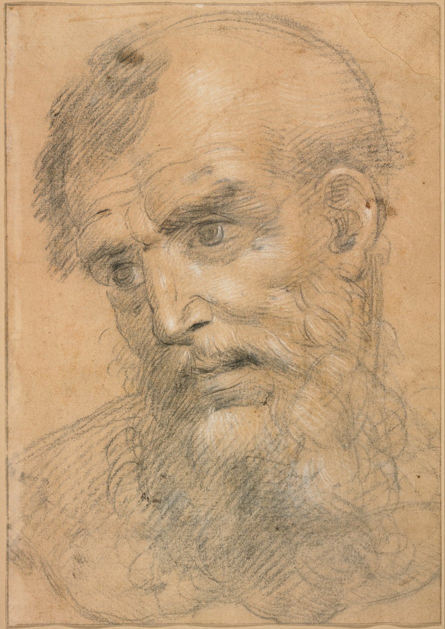Kop van een man met baard (recto); Studie voor een sacra conversazione (verso) door Giovanni Antonio Sogliani