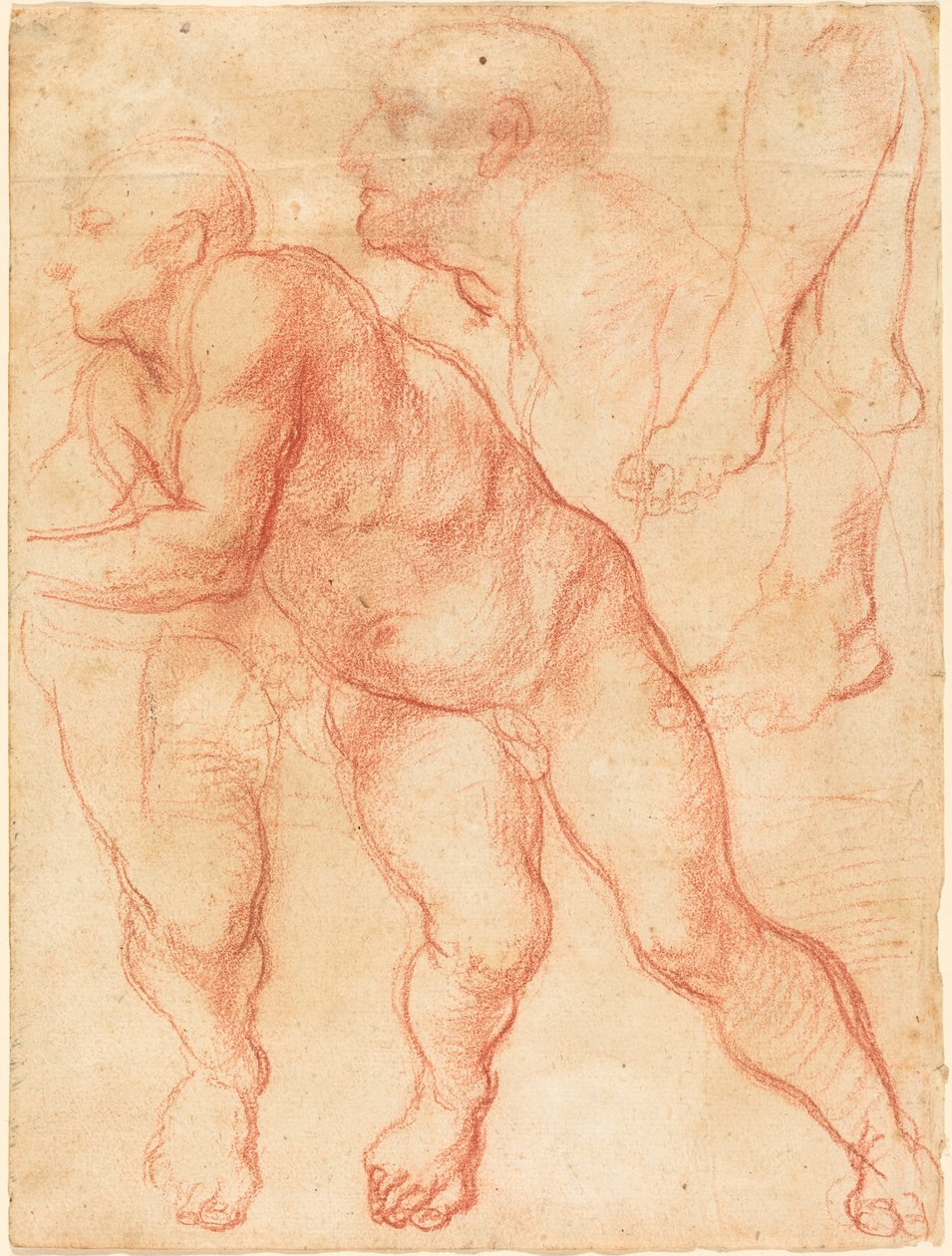 Studies van een Mannelijke Naakt door Giovanni Battista Naldini