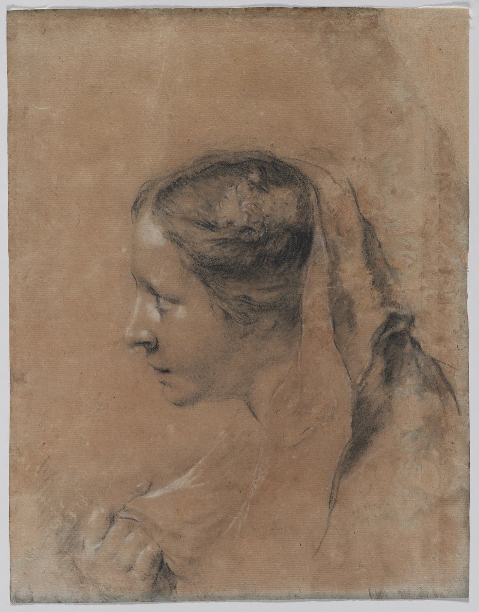 Hoofd van een vrouw in profiel met een sjaal door Giovanni Battista Piazzetta