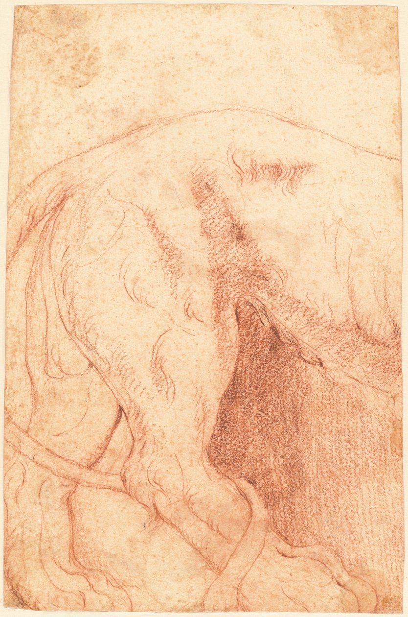 Fragment eines Löwen-Reliefs (verso) door Giovanni Battista Piranesi