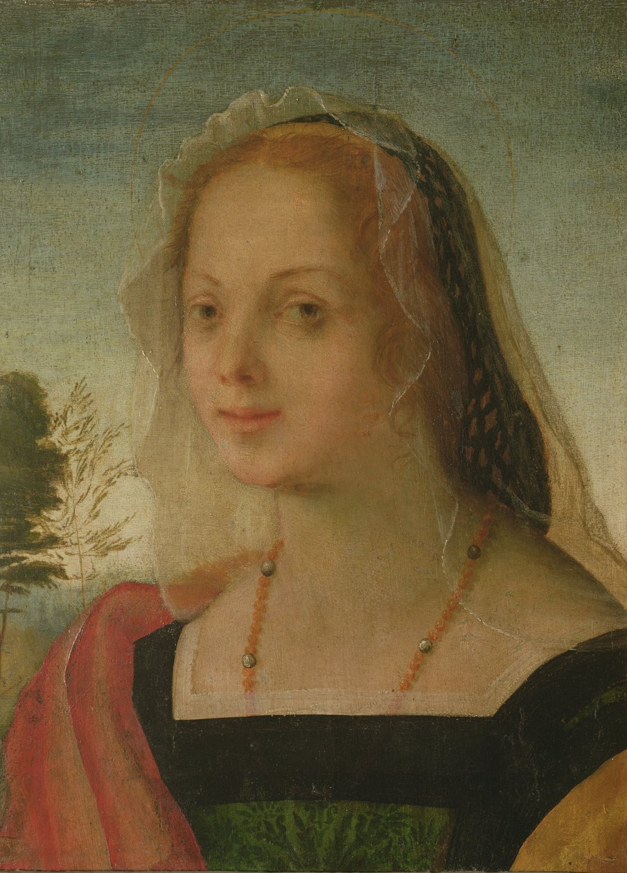 Portret van een jong meisje door Giovanni Battista Rosso Fiorentino