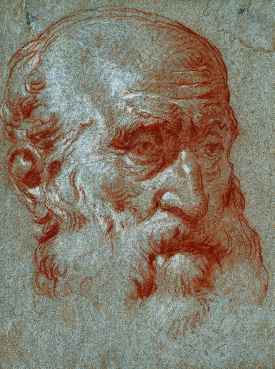 Hoofd van een Venetiaanse patriciër, driekwart gezicht door Giovanni Battista Tiepolo