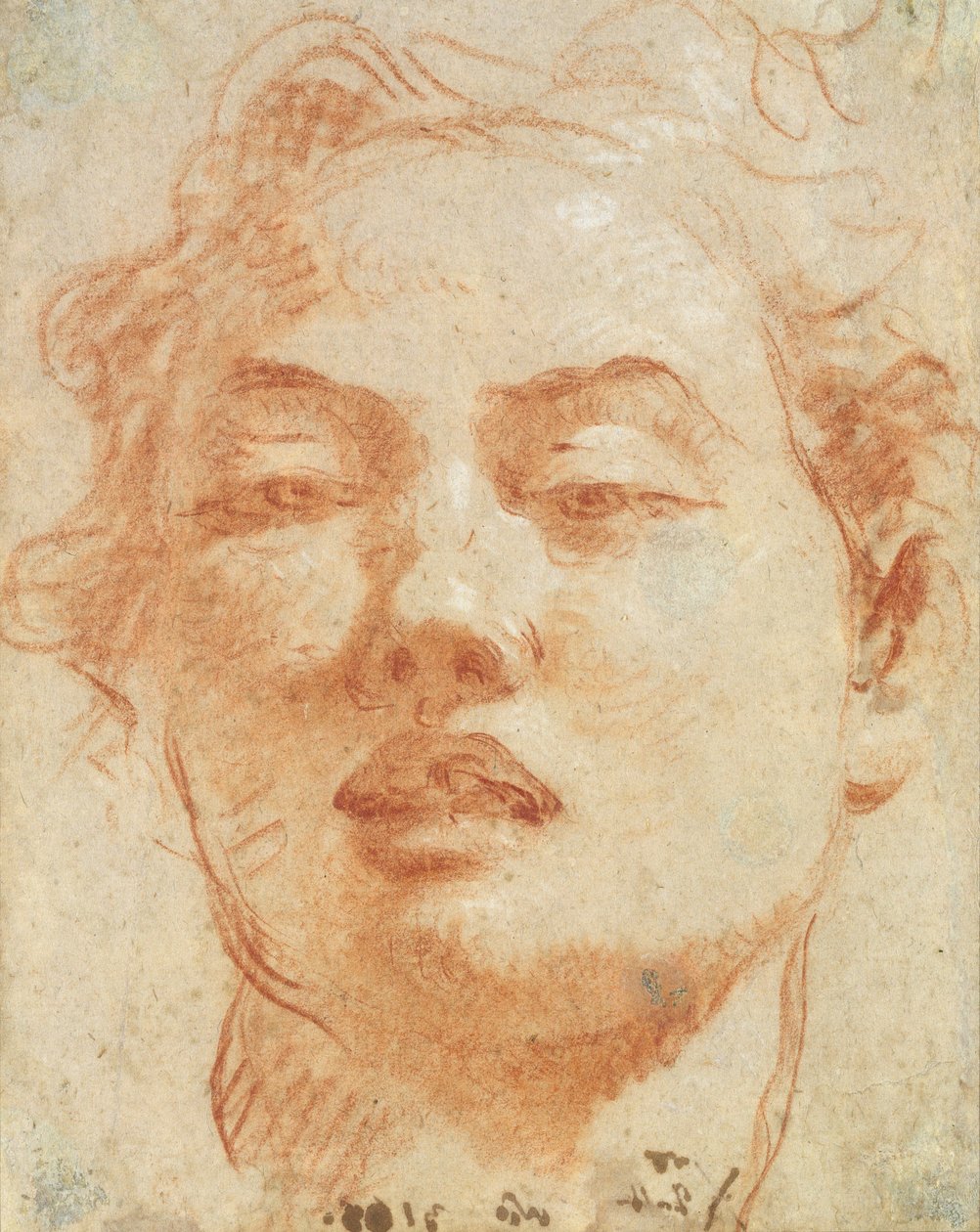 Hoofd van een jonge man door Giovanni Battista Tiepolo