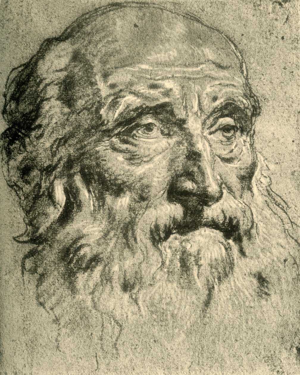 Hoofd van een oude man, midden 18e eeuw, 1928 door Giovanni Battista Tiepolo