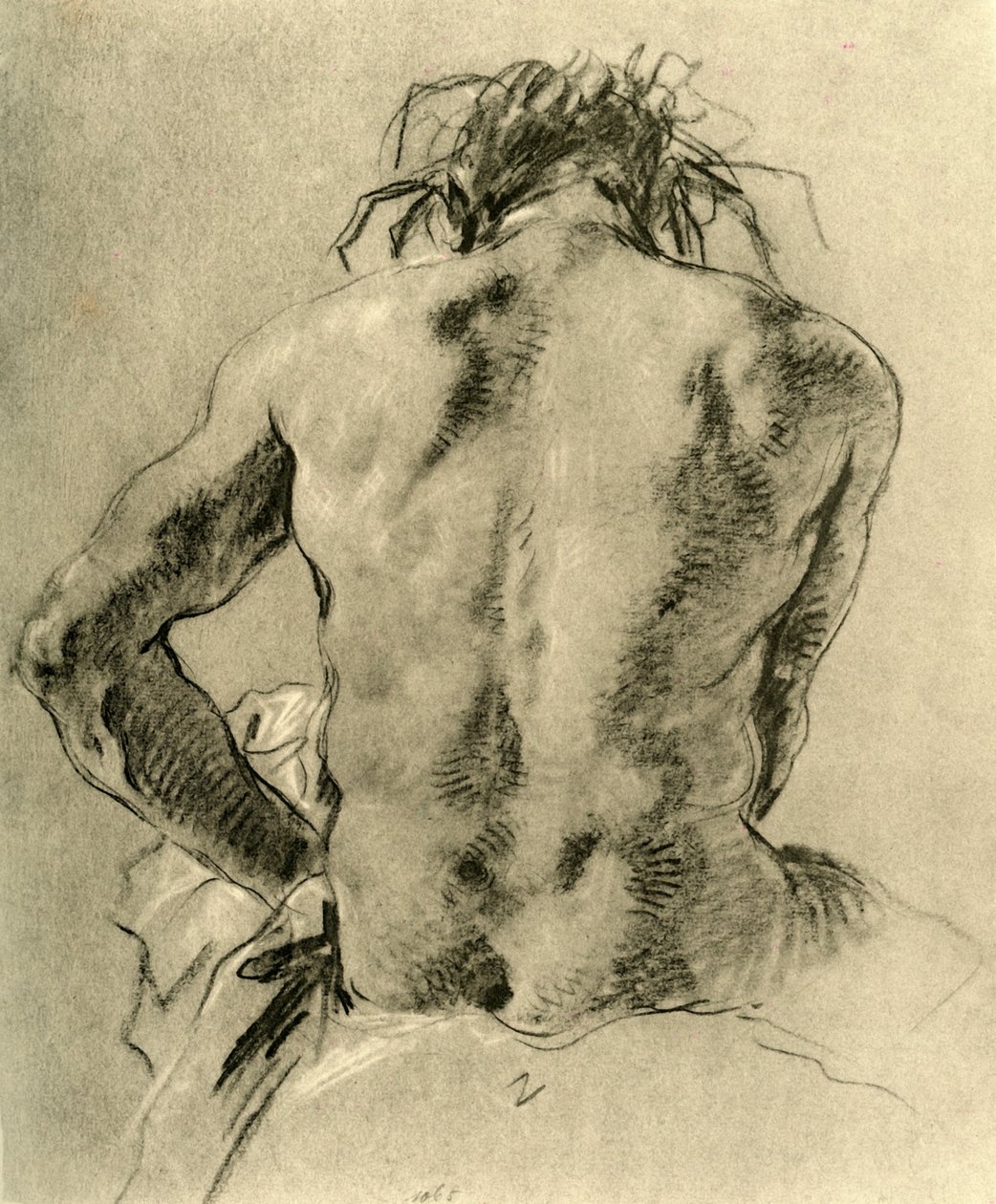 Naakte rug door Giovanni Battista Tiepolo