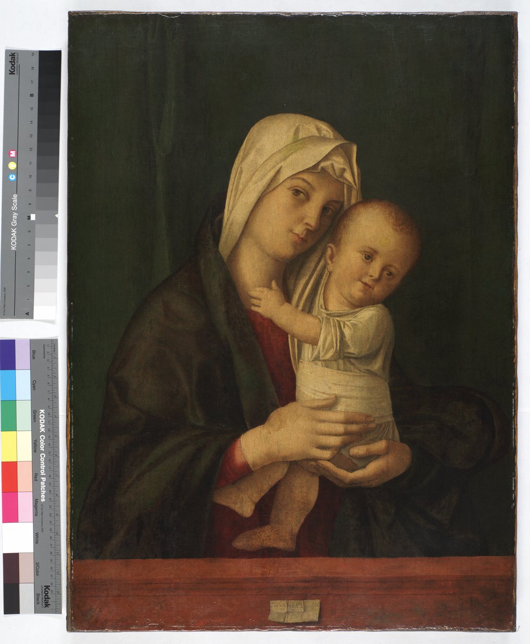 Madonna en Kind, ca. 1489 door Giovanni Bellini