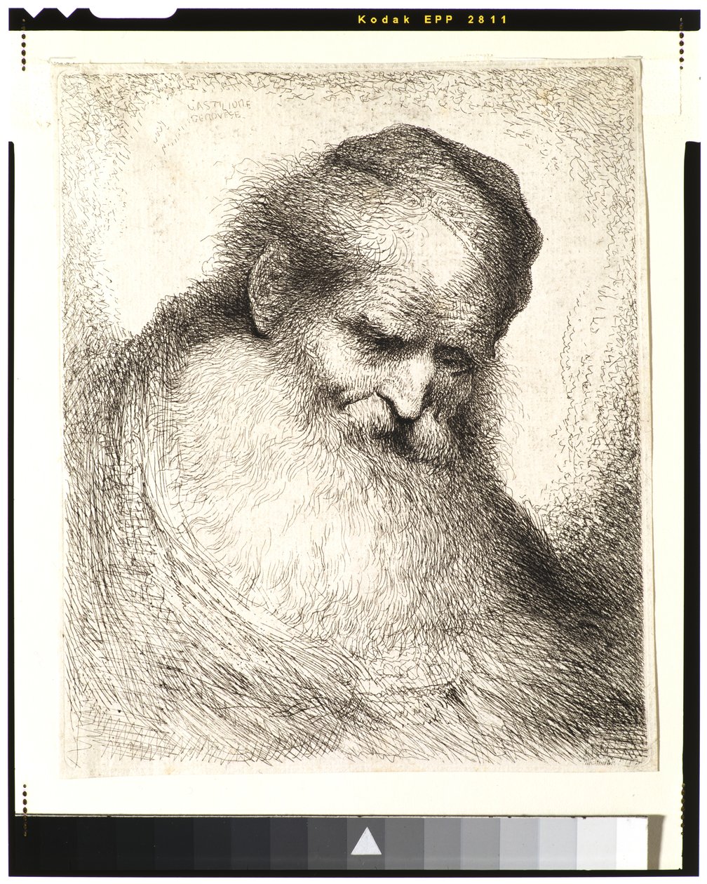 Bejaarde man met baard, hoofd naar voren gebogen, met een schedelkap, naar rechts kijkend door Giovanni Benedetto Castiglione