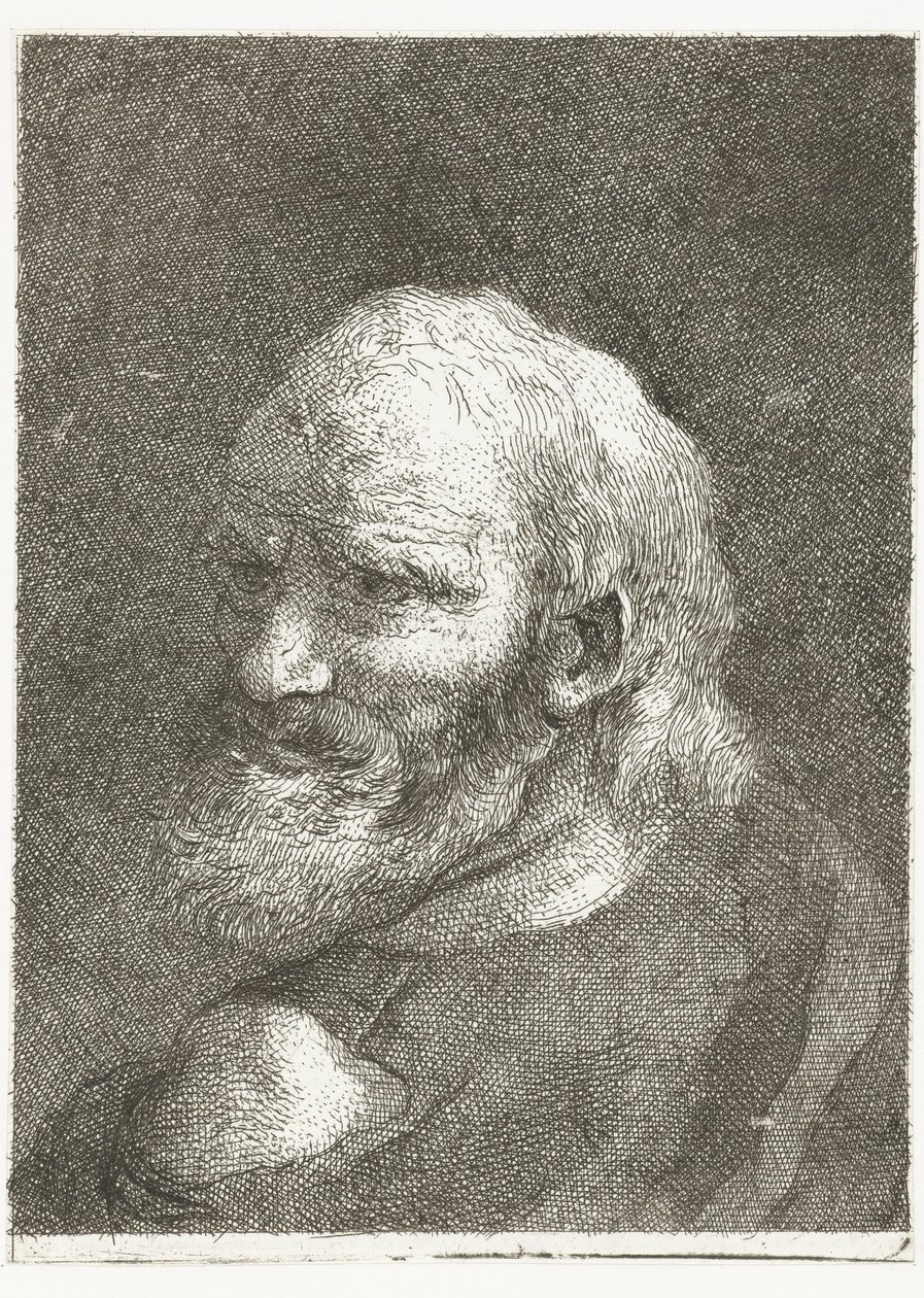 Man met ontblote schouder door Giovanni Domenico Tiepolo