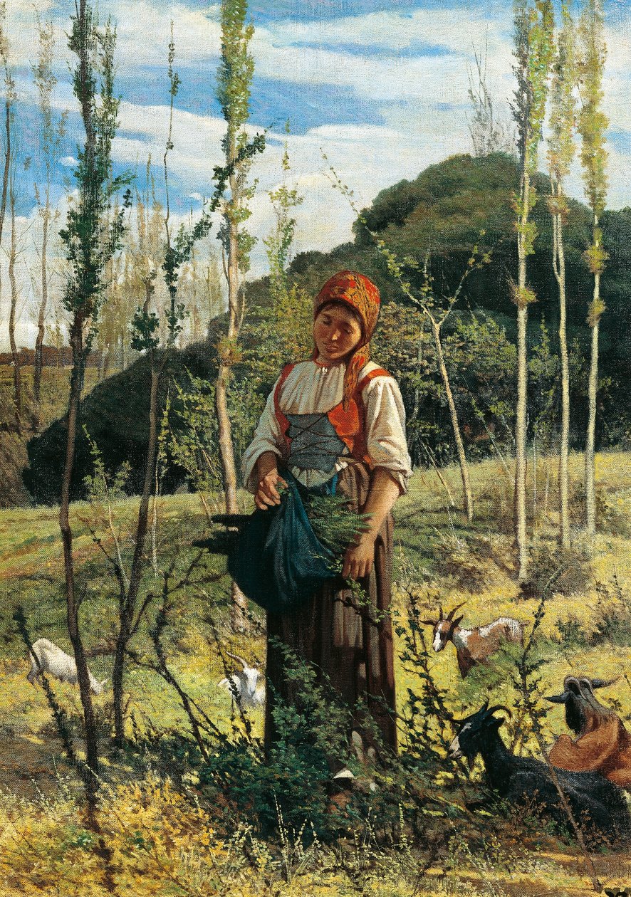 Boer in het bos door Giovanni Fattori
