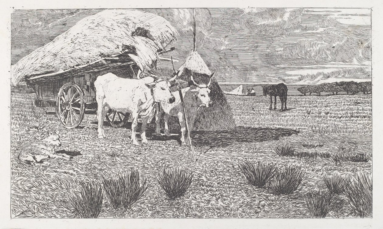 Ossen voor een kar gespannen (Maremma) door Giovanni Fattori