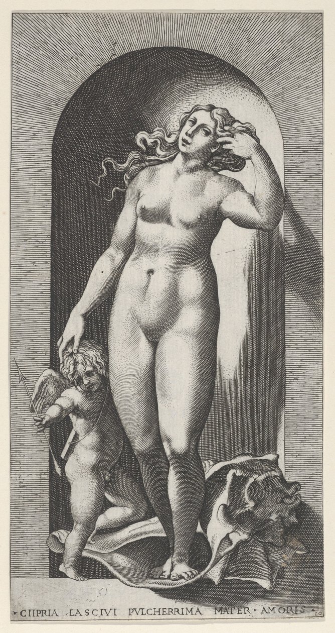 Venus in een nis, staand op een schelp, met Cupido aan haar rechterkant, uit een serie, 1526 door Giovanni Jacopo Caraglio