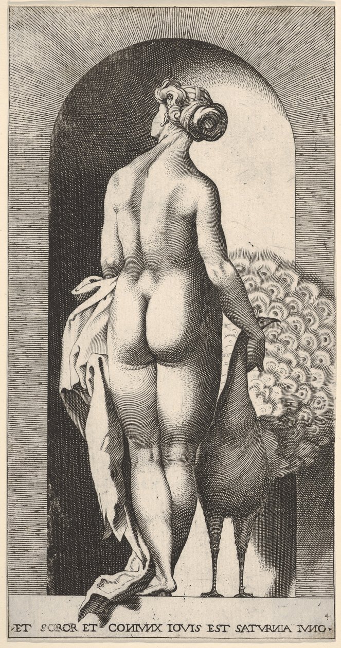 Plaat 4: Juno staand in een nis, van achteren gezien, een pauw strelen aan haar rechterkant, fr..., 1526 door Giovanni Jacopo Caraglio