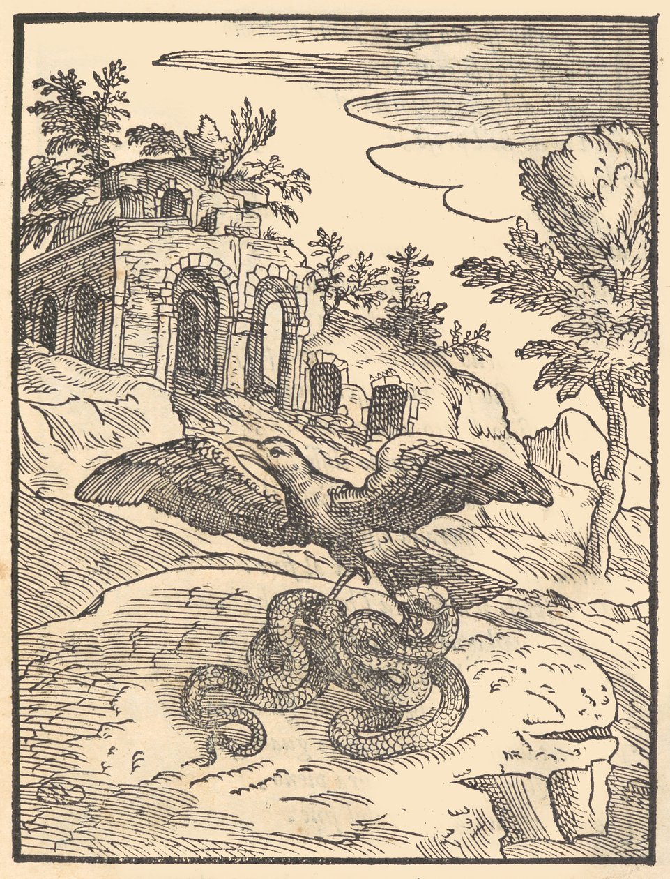 Vogel en slang door Giovanni Maria Verdizotti