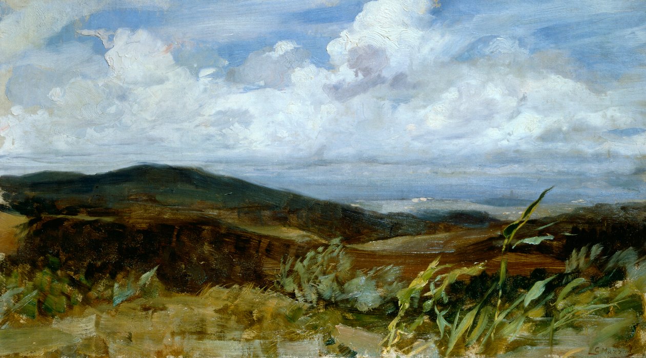 Landschap door Giovanni Muzzioli, olieverf op doek, 39x68 cm door Giovanni Muzzioli