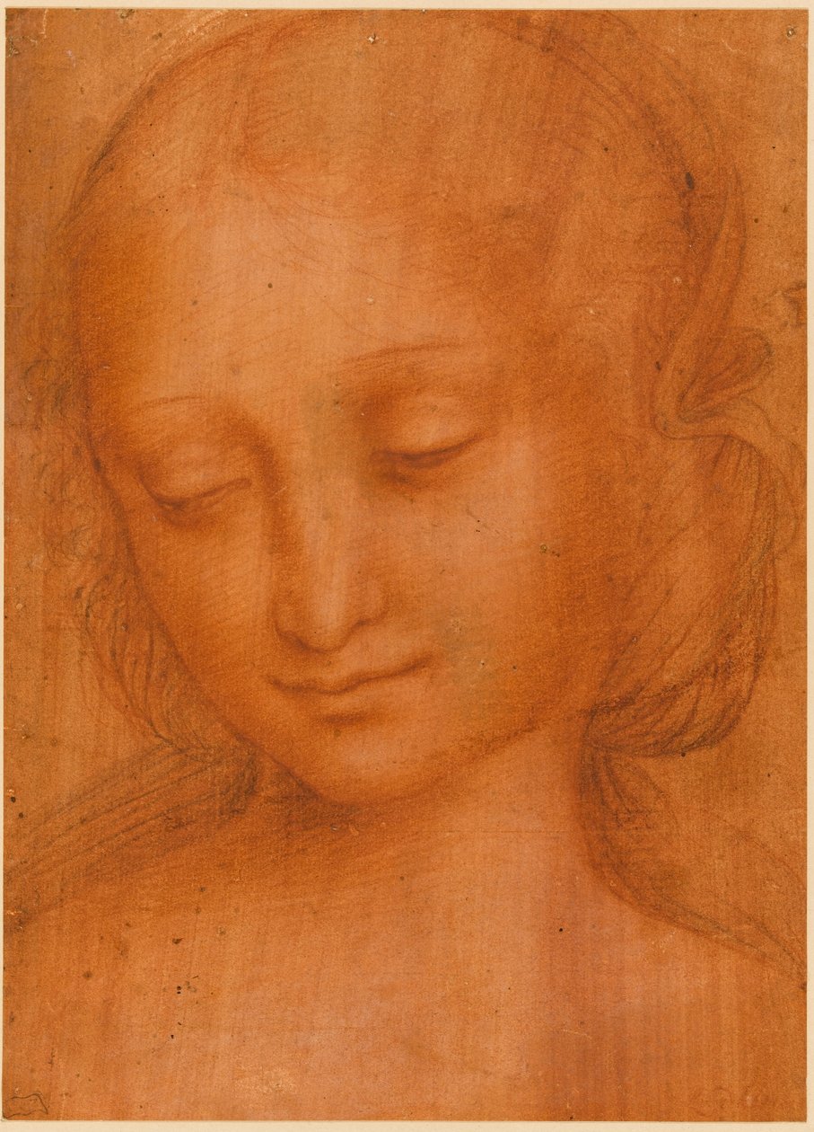 Hoofd van een vrouw door Giovanni Pietro Rizzoli Giampietrino