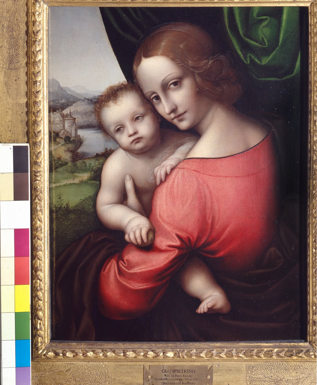 Madonna en Kind (Onze Lieve Vrouw van de Appel), c.1525 door Giovanni Pietro Rizzoli Giampietrino