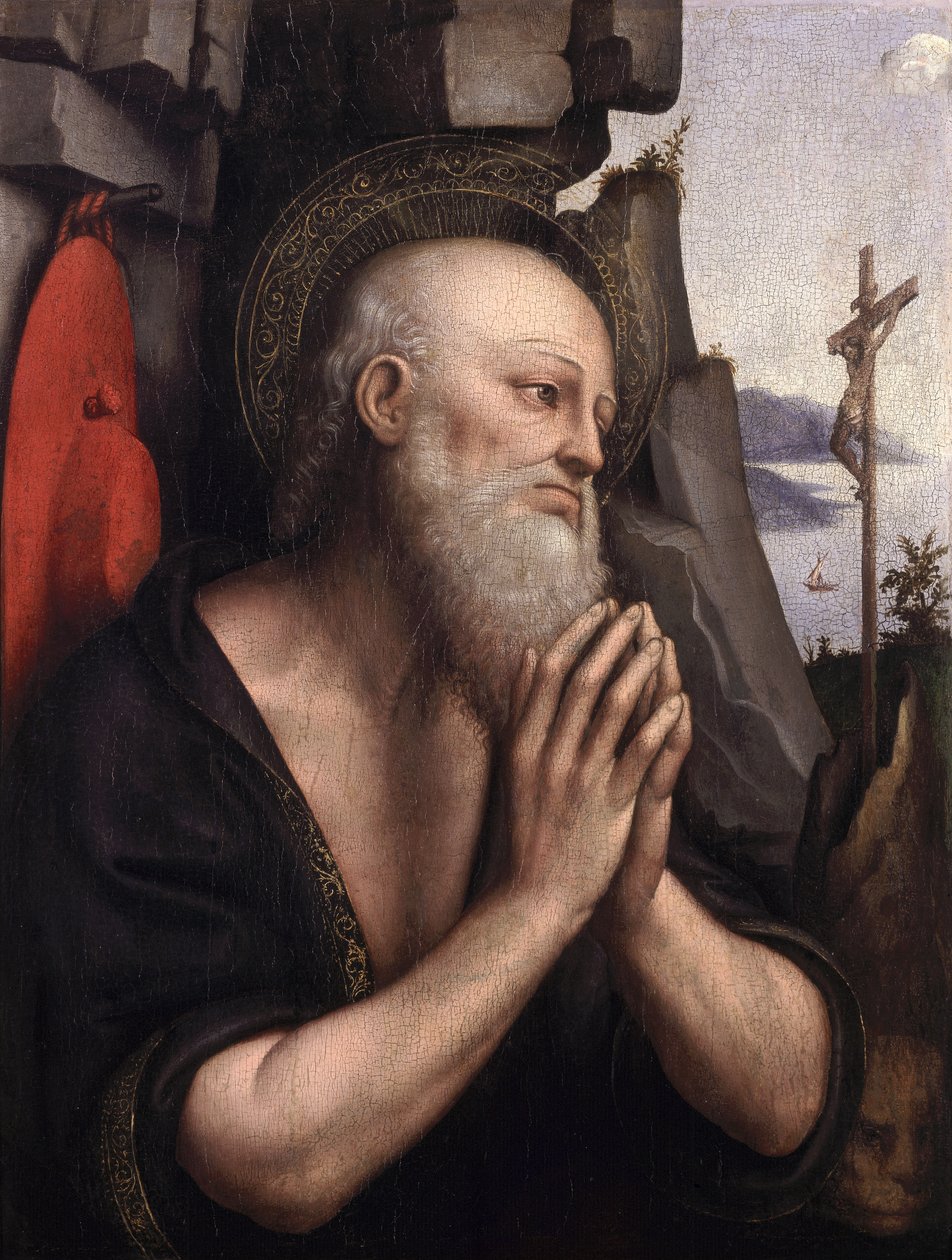 De Berouwvolle St. Hiëronymus door Giovanni Pietro Rizzoli Giampietrino