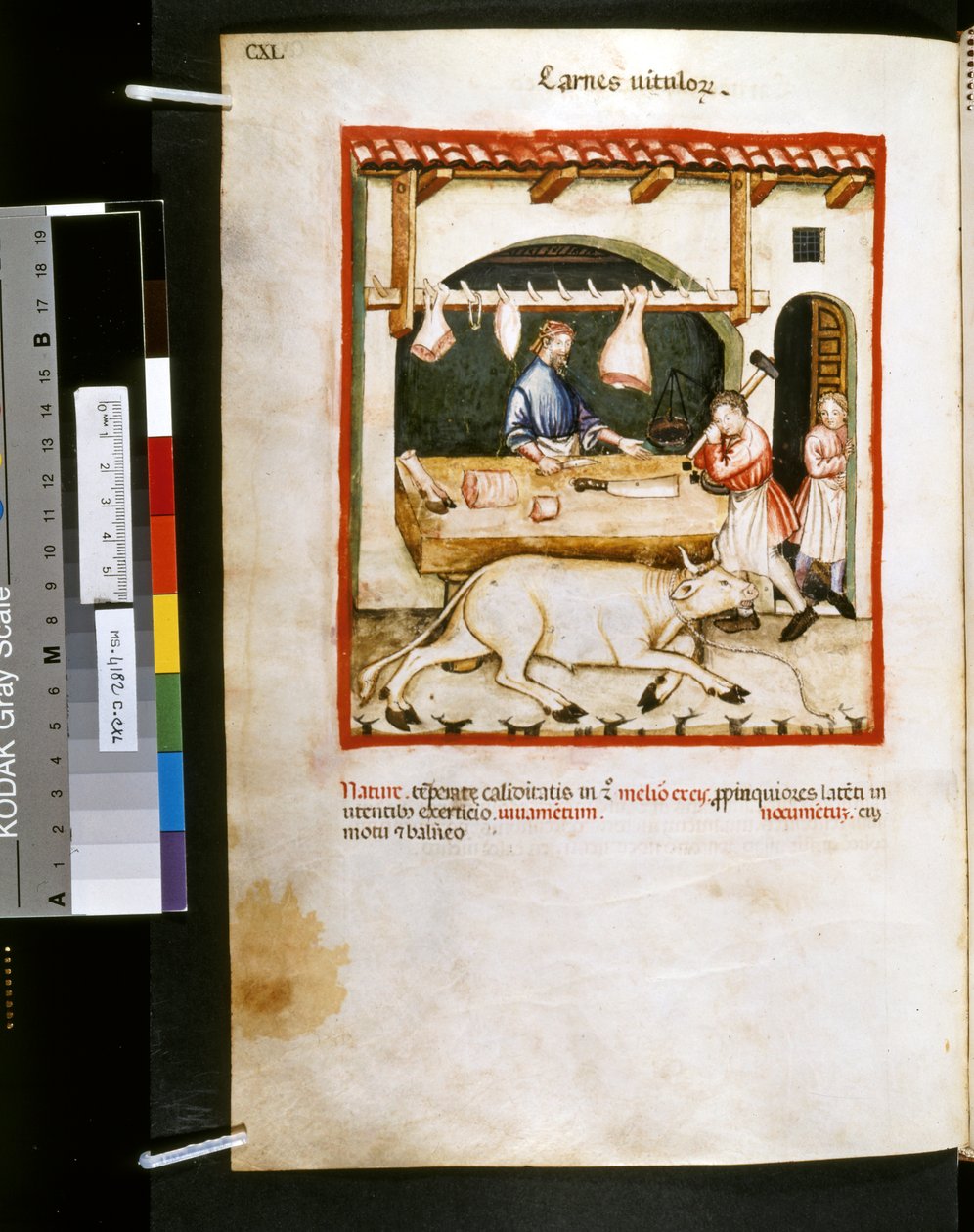 Theatrum sanitatis door Ububchasym de Baldach: 