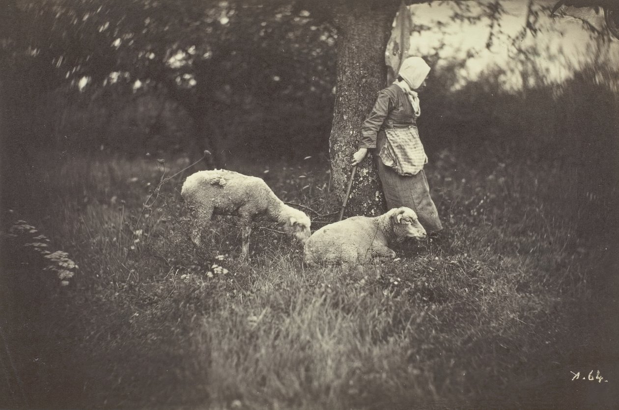 Herderin Leunend Tegen een Boom, met Twee Schapen, 1870 door Giraudon