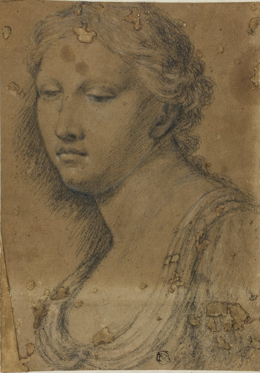 Borstbeeld van een Vrouw door Girolamo da Carpi