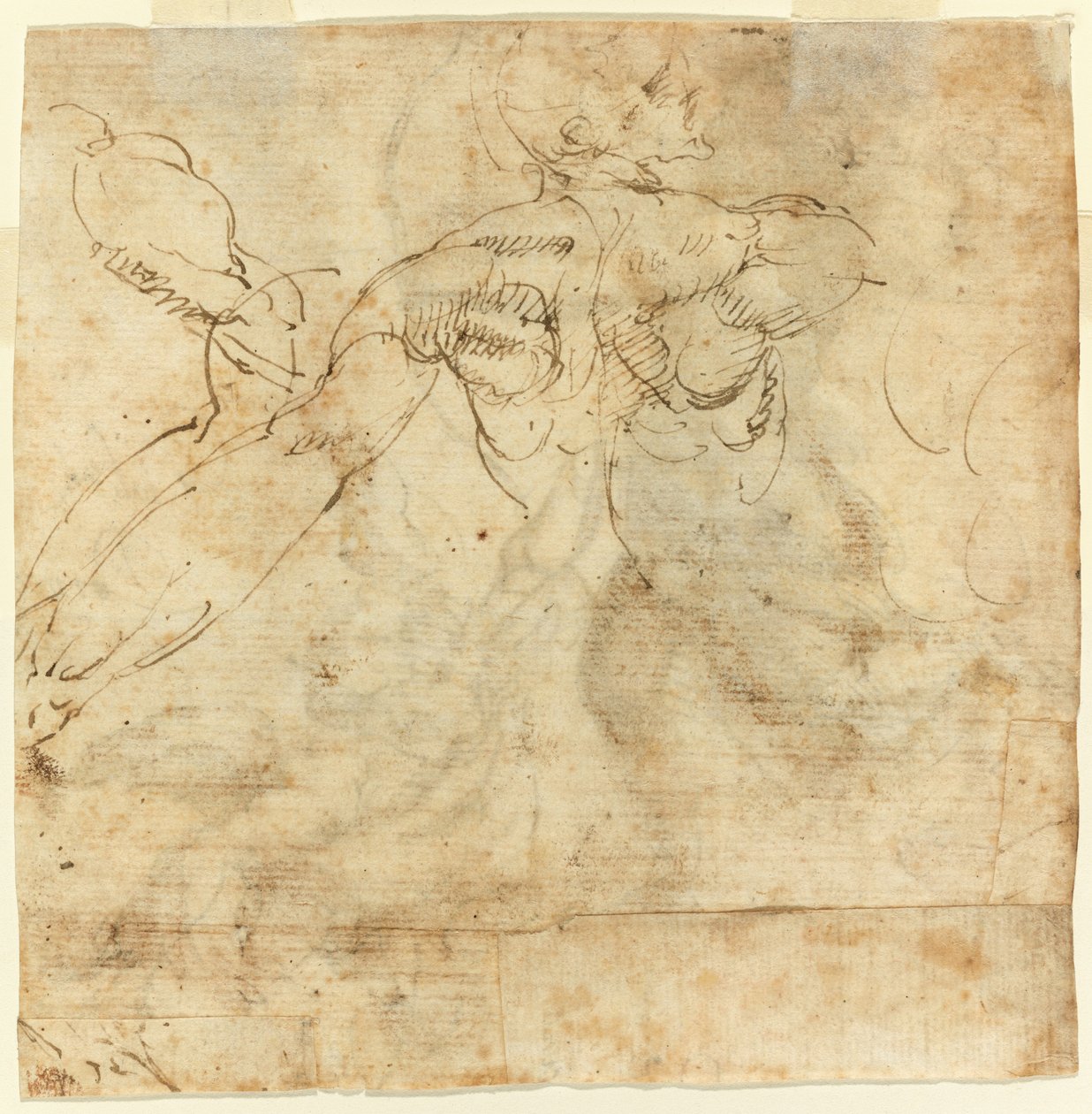 Studie van een Rug door Giulio Cesare Procaccini