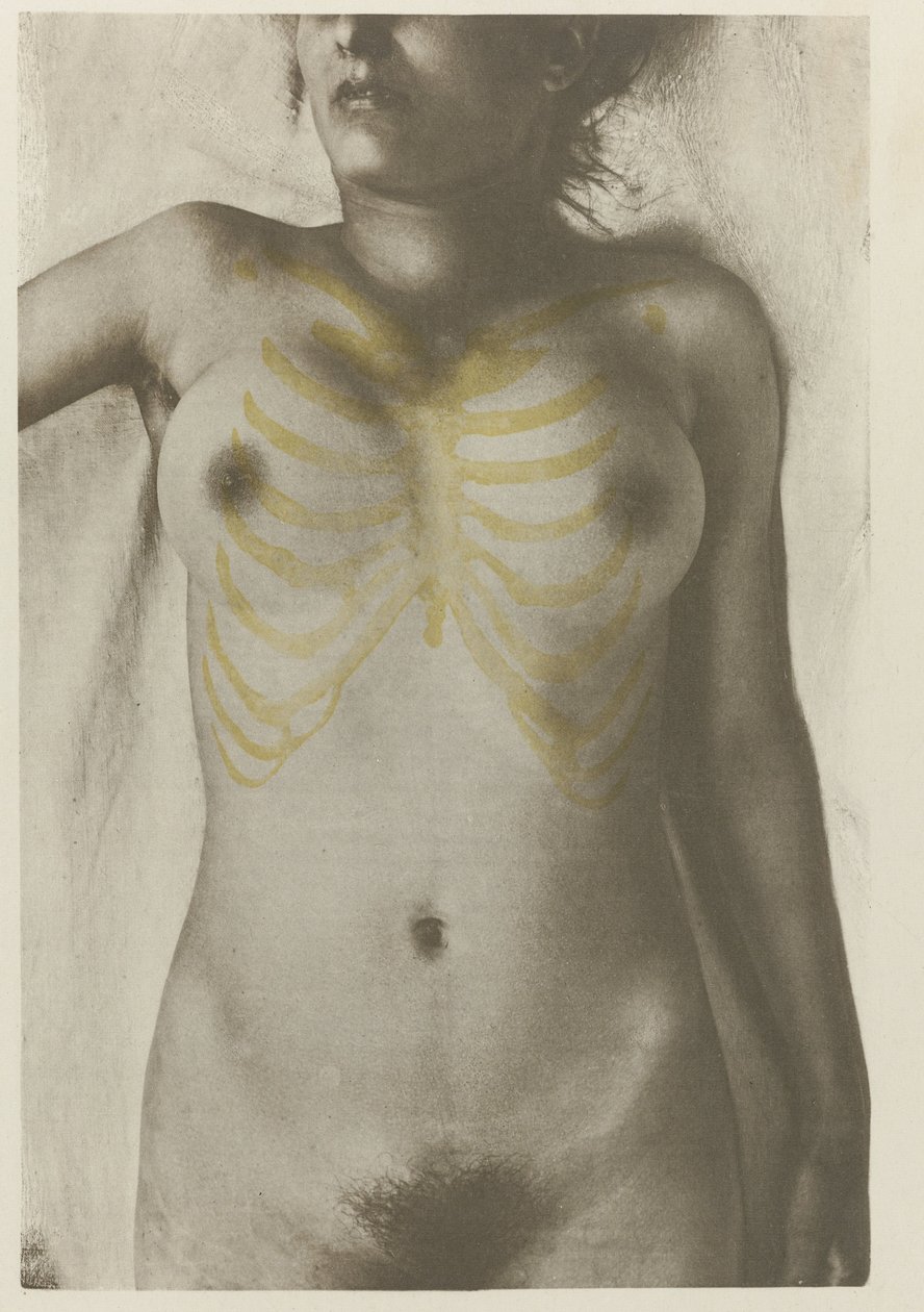 Anatomische foto van een vrouwelijk lijk: 
