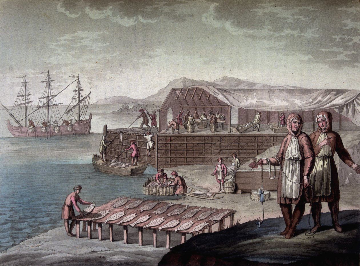 Kabeljauwvisserij door de inwoners van Newfoundland - in "Le costume ancien et moderne" door Ferrario, ed. Milaan door Giulio Ferrario