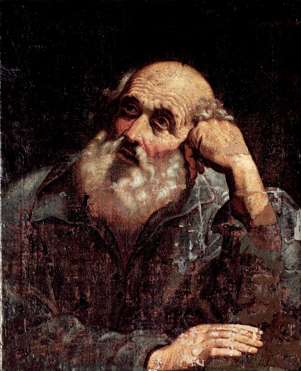 Portret van een Apore door Giuseppe Antonio Petrini