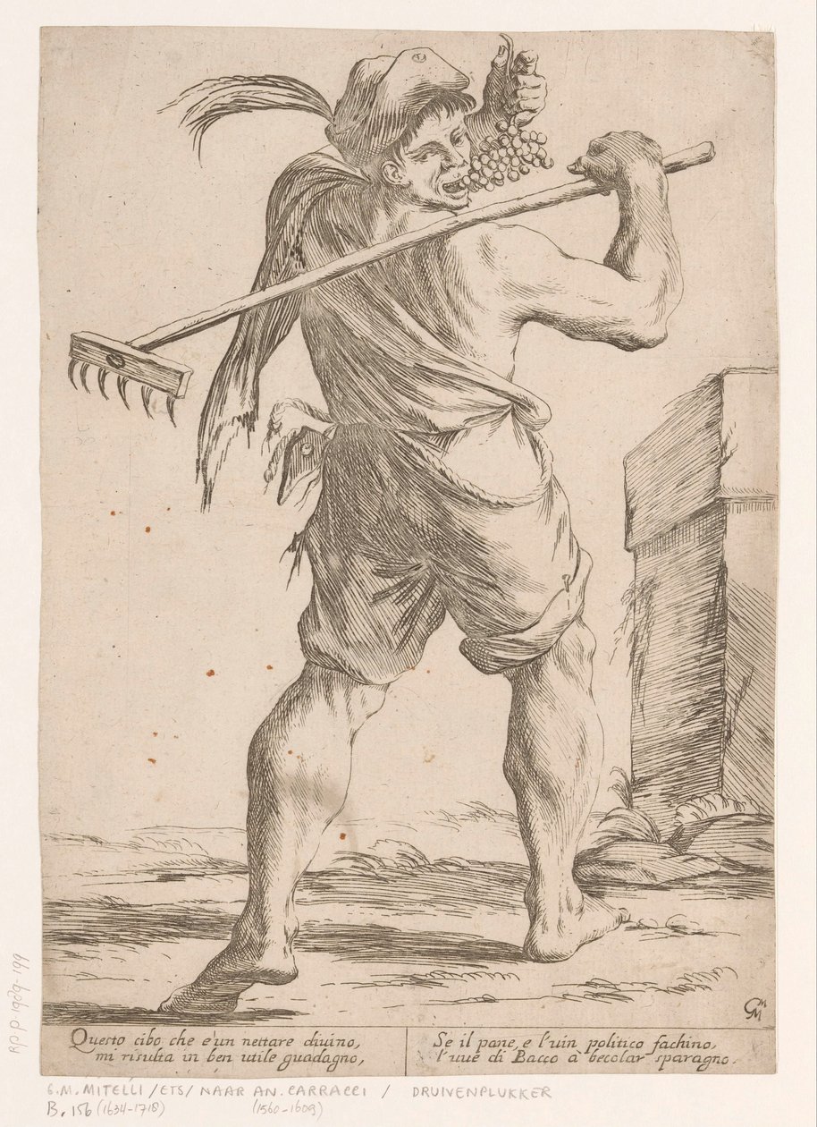 Druivenplukker door Giuseppe Maria Mitelli