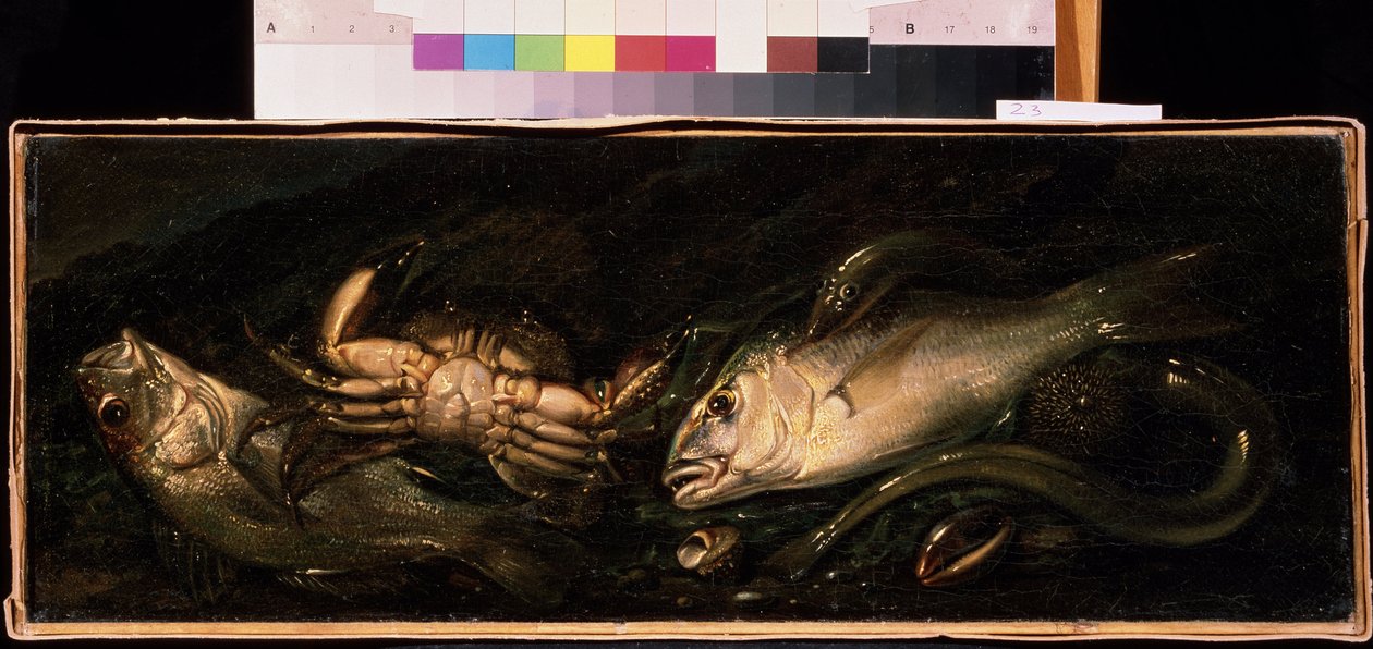 Stilleven met vissen en krab door Giuseppe Recco