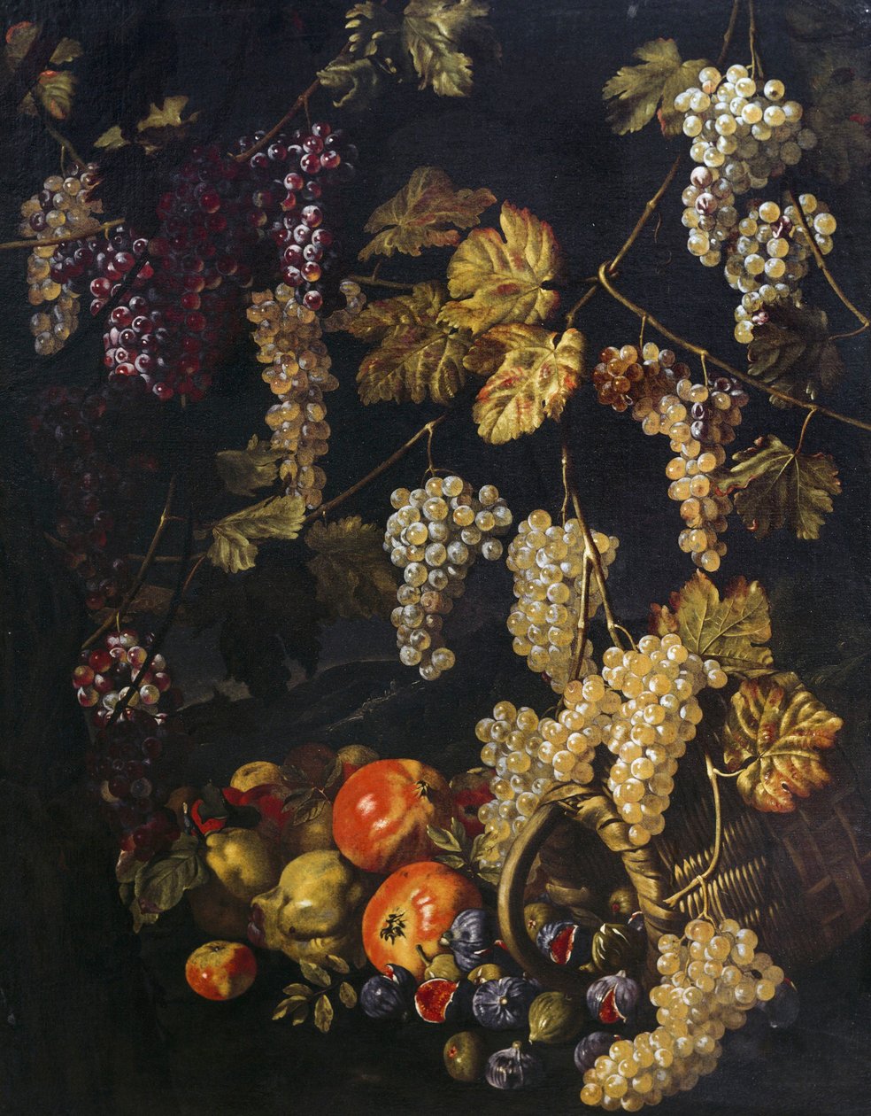 Stilleven met druiven, wijnbladeren en ander fruit door Giuseppe Recco