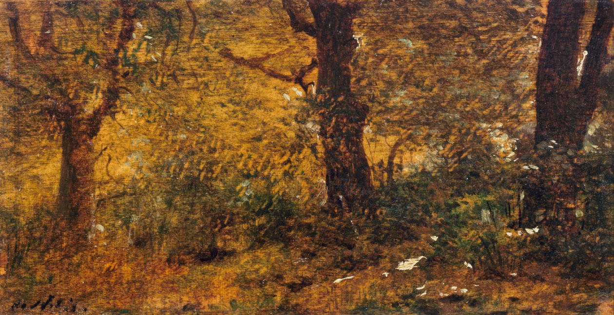 Studie van hout door Giuseppe or Joseph de Nittis