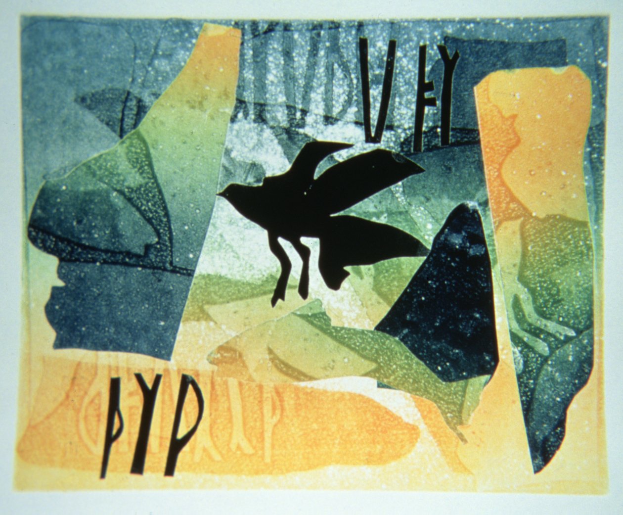 Pictische raaf door Gloria Wallington