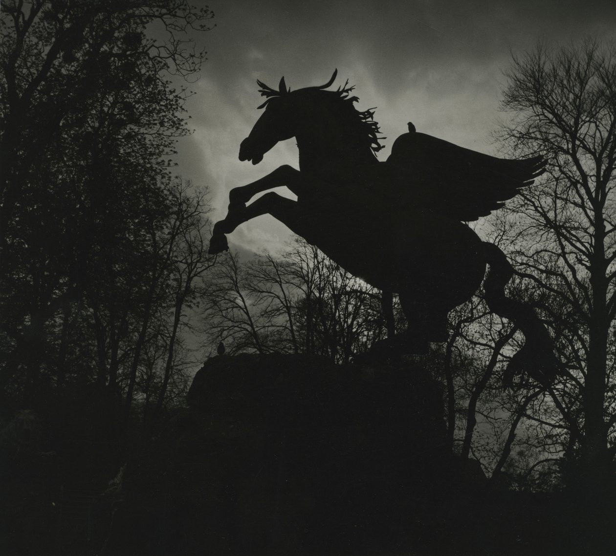 Pegasus-standbeeld in de Mirabell-tuinen door Godfrey Macdominic