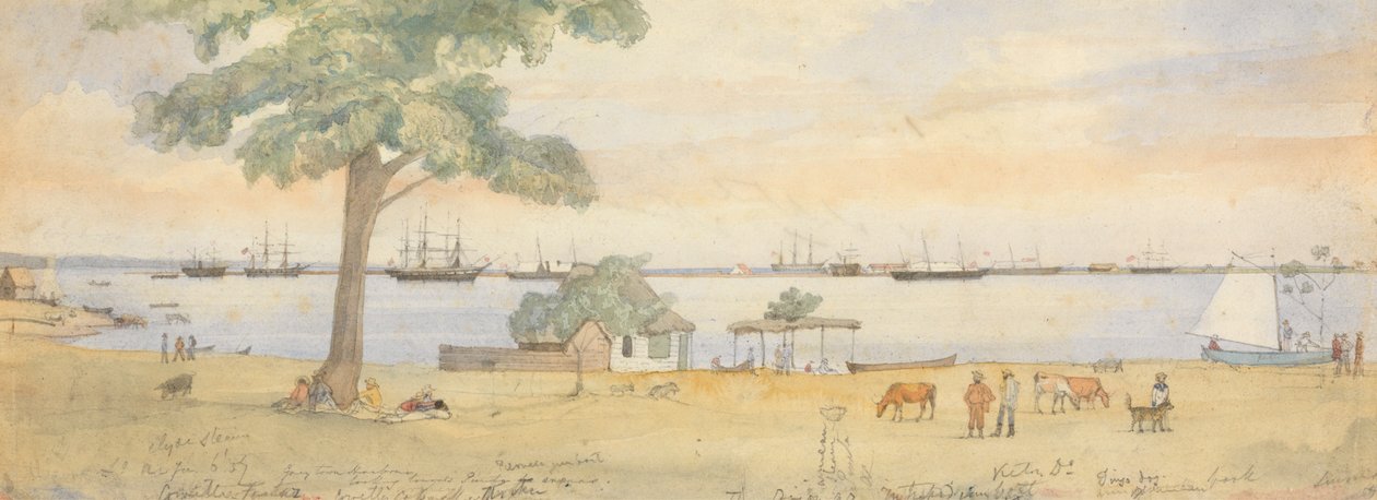 Greytown door Godfrey Thomas Vigne