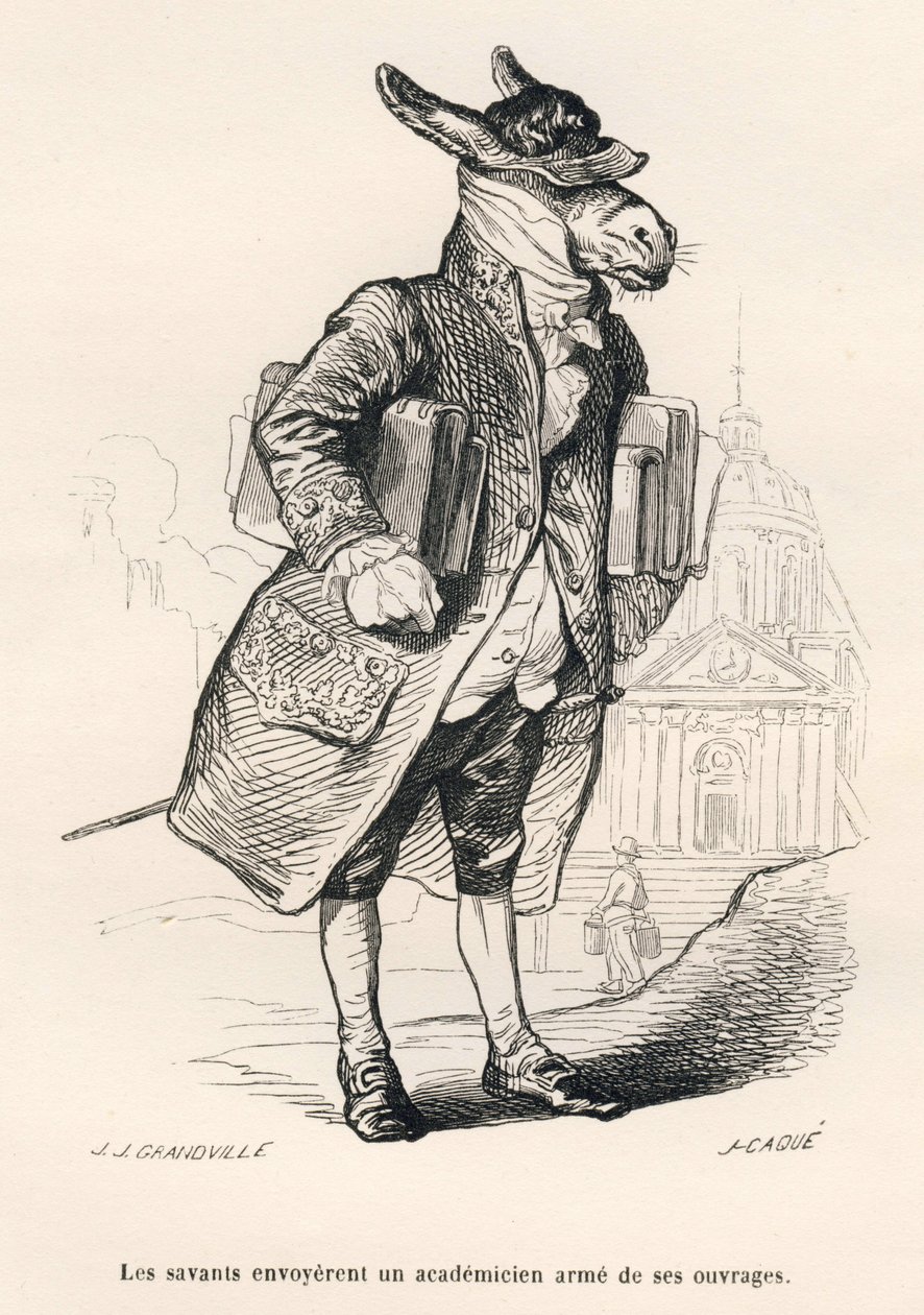 Ezel academicus beladen met werken. Vignetten geïllustreerd door JJ Granville. Gravure gesigneerd Caque in het deel "Gids-ezel voor dieren die eer willen bereiken" geschreven door Honoré De Balzac in "Scènes uit het privé- en openbare leven van dieren". Pa door Grandville