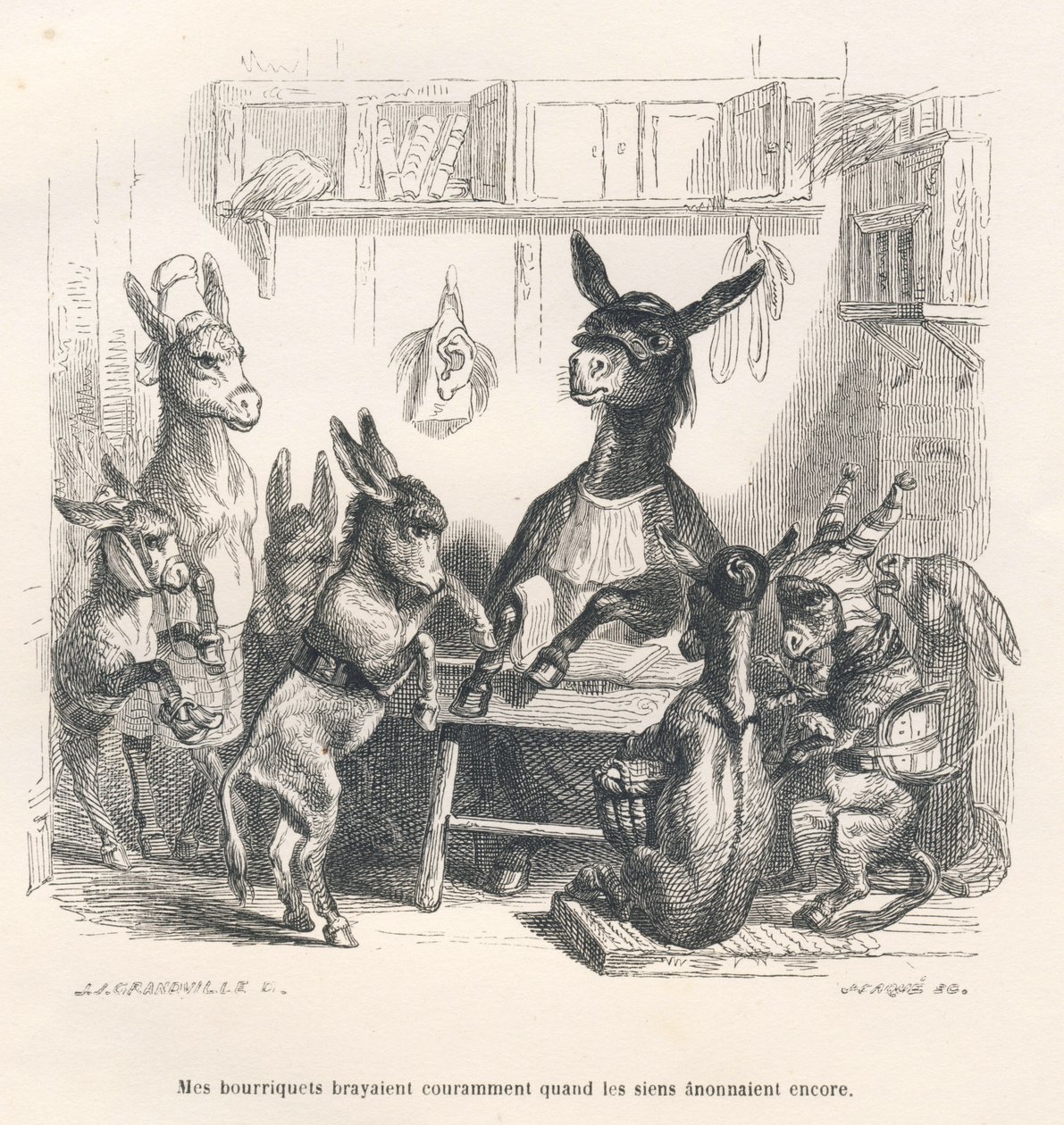Ezels op school. Vignetten geïllustreerd door JJ Granville. Gravure gesigneerd Caque in het deel "Gids-ezel voor dieren die eer willen bereiken" geschreven door Honoré De Balzac in "Scènes uit het privé- en openbare leven van dieren". Parijs door Grandville