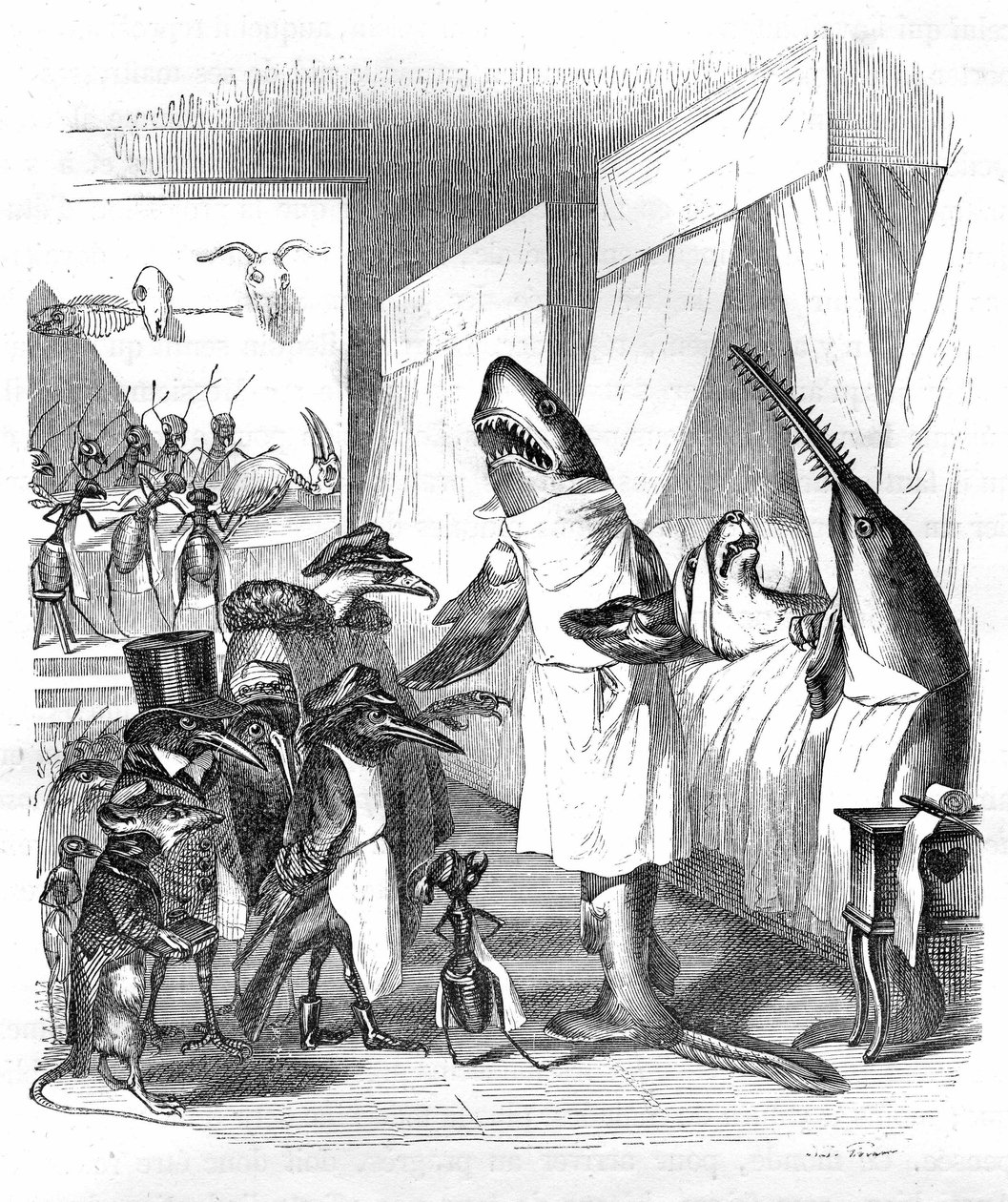 Cartoon: Vissen - dokters: Grandville gravure, uit het boek “Privé en openbaar leven van dieren (Les animaux peints par eux-mêmes)”, Hetzel editie 1867 p. 551 - Een haai en een zaagvis (Viszaag) aan het bed van een zieke in bed. door Grandville (1803-47)