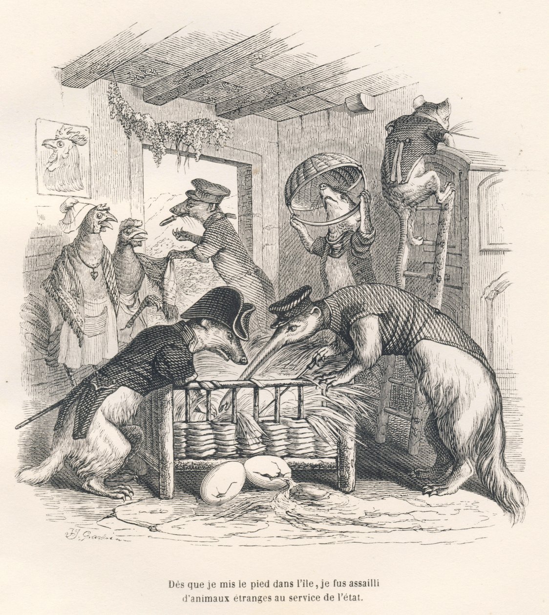 Zodra ik voet op het eiland zette, werd ik aangevallen door vreemde dieren in dienst van de staat. Vignetten geïllustreerd door JJ Granville. Gravure gesigneerd Porret in het deel 