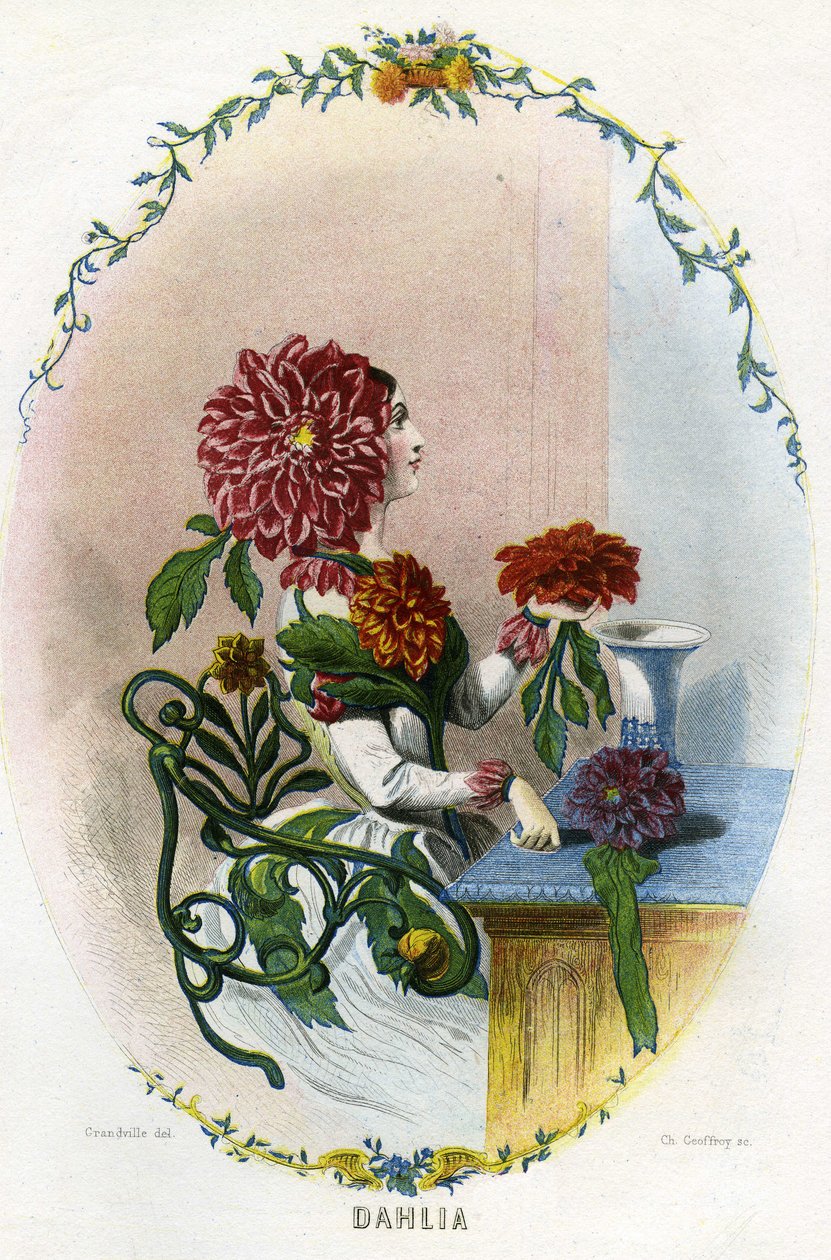 Illustratie voor 