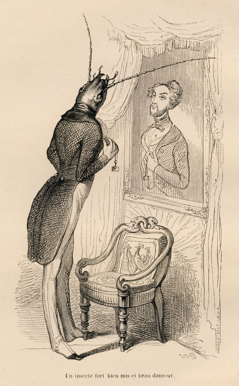 Insect kijkend naar zijn menselijke reflectie in de spiegel. Geïllustreerde vignetten door JJ Granville. Gravure gesigneerd Andrew, Best en Leloir in het deel "De avonturen van een vlinder" geschreven door PJ Stahl in "Scènes uit het privé- en openbare lev door Grandville